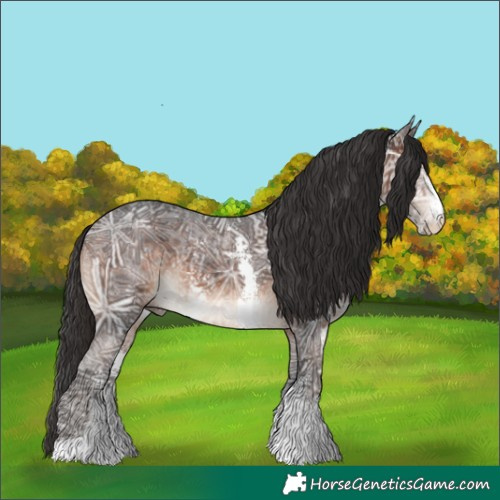 Horse Color:Brown Ice Sabino