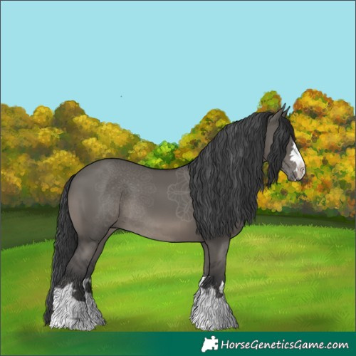 Horse Color:Grullo 