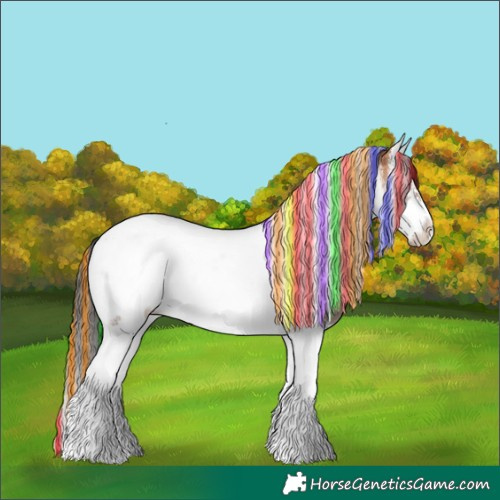 Horse Color:Painted Bay Onyx Splash Tobiano Frame 