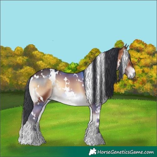 Horse Color:White Spotted Bay Onyx 