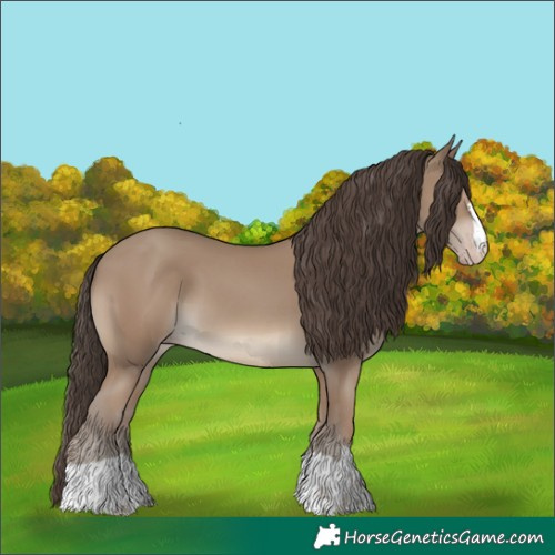 Horse Color:Classic Champagne 