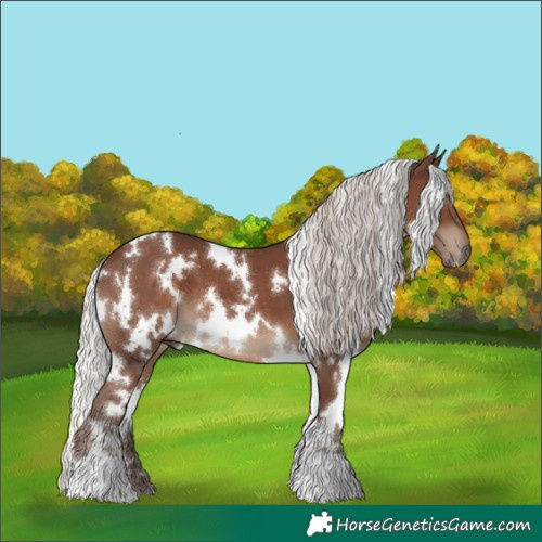 Horse Color:White Spotted Silver Black 