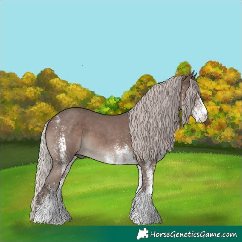 Horse Color:White Spotted Silver Black