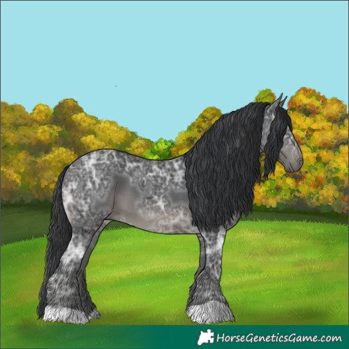 Horse Color:Black Ice 