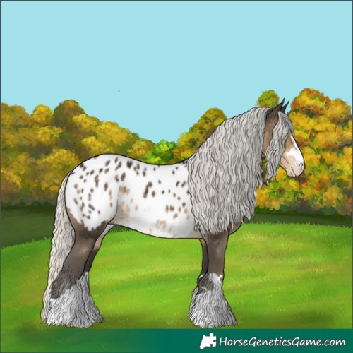 Horse Color:Silver Smoky Black Appaloosa