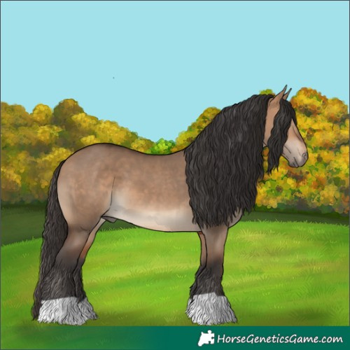 Horse Color:Bay Dun 