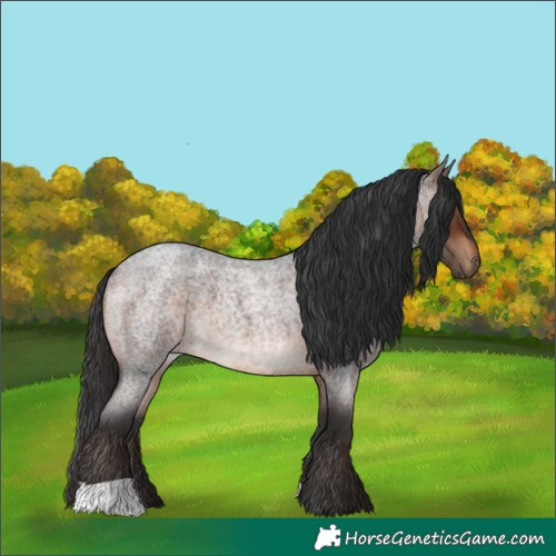 Horse Color:Brown Roan 