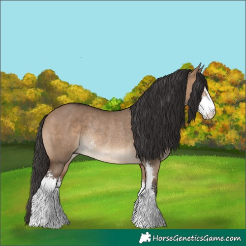 Horse Color:Brown Dun Sabino Rabicano 
