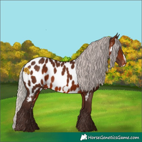 Horse Color:Silver Brown Frame Appaloosa 