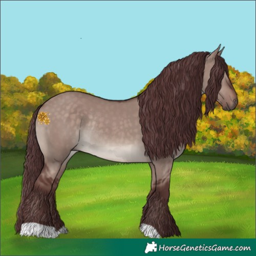 Horse Color:Chocolate Brown Dun Mushroom Rabicano