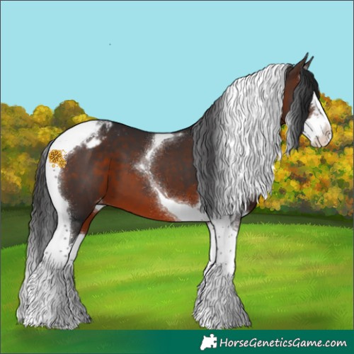 Horse Color:Brown Splash Tobiano Blanket 