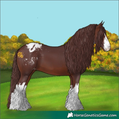 Horse Color:White Spotted Chocolate Brown Varnish