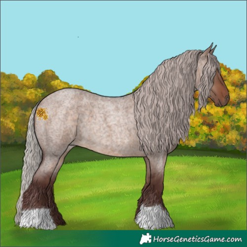 Horse Color:Chocolate Silver Brown Roan Dun 