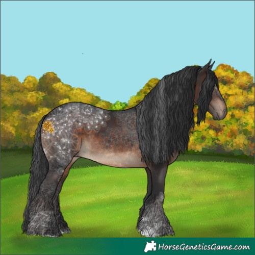 Horse Color:Brown 