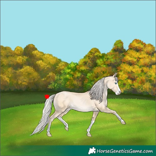 Horse Color:Silver Buckskin Pearl Dun Splash 