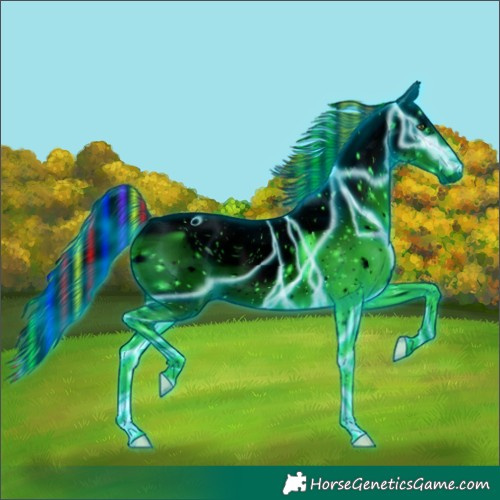 Horse Color:ERROR: UNKNOWN ANOMALY