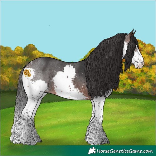 Horse Color:White Spotted Brown Splash Tobiano 