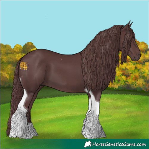 Horse Color:Chocolate Black Tobiano 