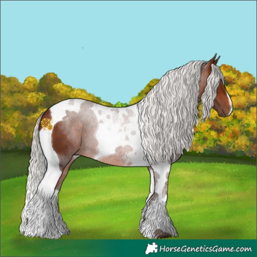 Horse Color:Silver Brown Tobiano