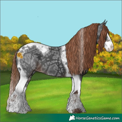 Horse Color:Liver Chestnut Ice Splash Tobiano 