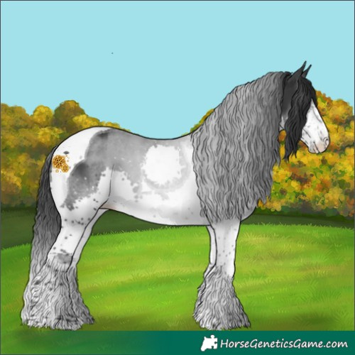 Horse Color:Black Splash Tobiano