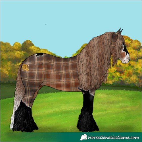Horse Color:Plaid  Liver Chestnut Splash Tobiano Appaloosa 