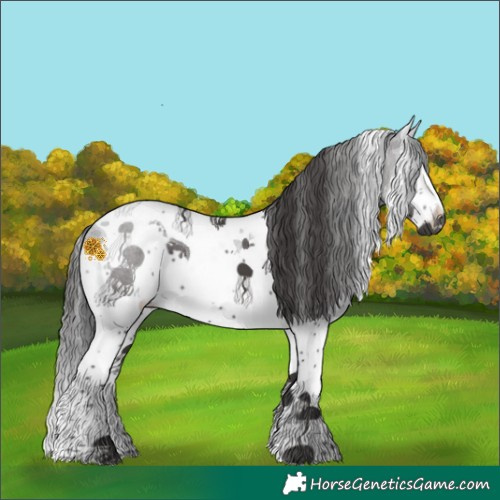 Horse Color:Smoky Black Sabino Splash Tobiano 