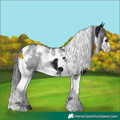 Horse Color:Black Ice Splash Tobiano 