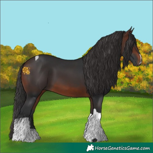 Horse Color:Brown Tobiano