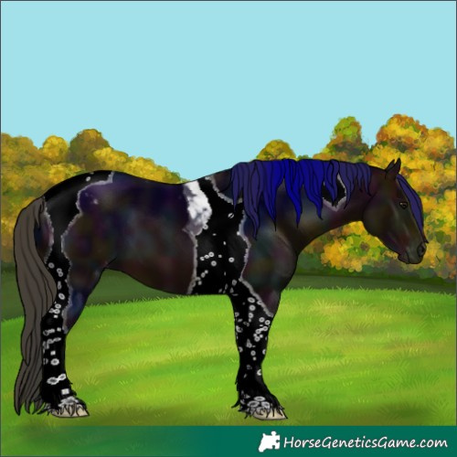 Horse Color:Midnight Bay Tobiano Varnish 