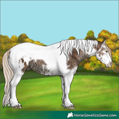 Horse Color:Liver Chestnut Ice Pearl Splash Tobiano Blanket 