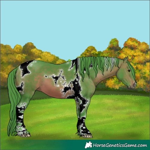 Horse Color:Watercolor Brown Tobiano 