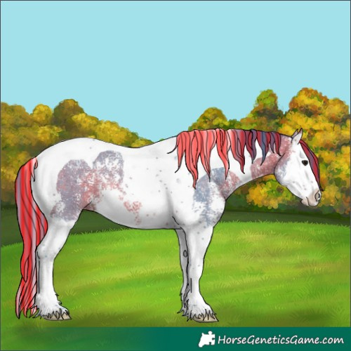 Horse Color:Painted Watercolor Bay Sabino Splash Tobiano 