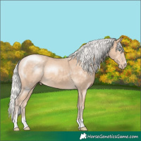 Horse Color:Silver Perlino