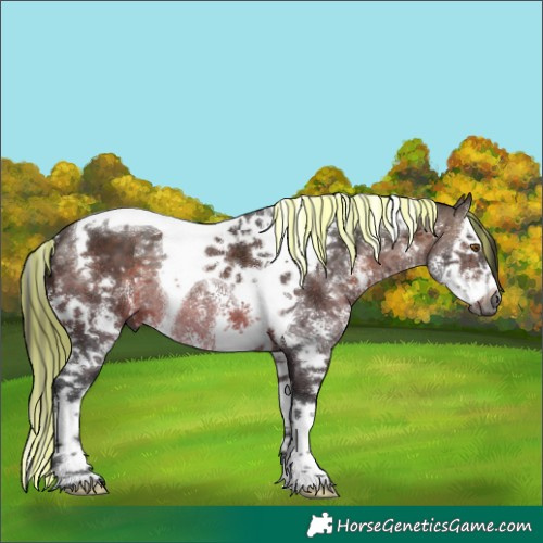 Horse Color:Gray Painted Bay Sabino Splash Tobiano
