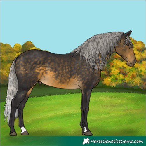 Horse Color:Silver Buckskin 
