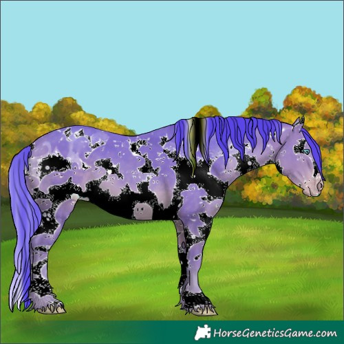 Horse Color:Watercolor White Spotted Amber Cream Champagne Splash 