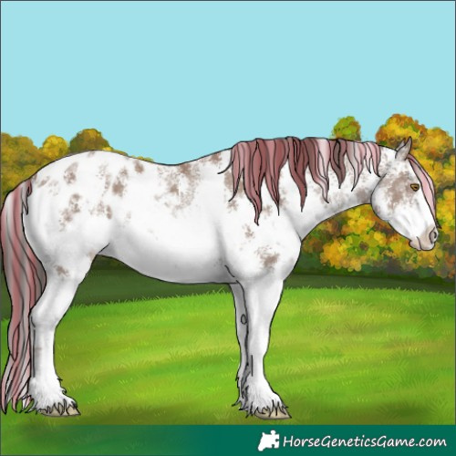 Horse Color:Painted Classic Champagne Sabino Blanket 