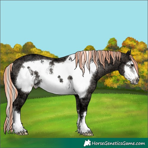 Horse Color:Painted Silver Black Ice Frame