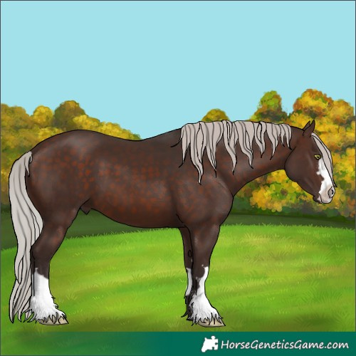 Horse Color:Silver Brown 
