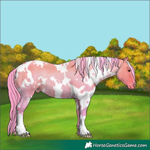 Horse Color:Watercolor White Spotted Liver Red Dun Varnish 