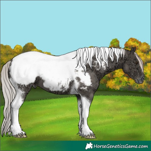 Horse Color:Silver Black Ice Mushroom Tobiano Snowcap 