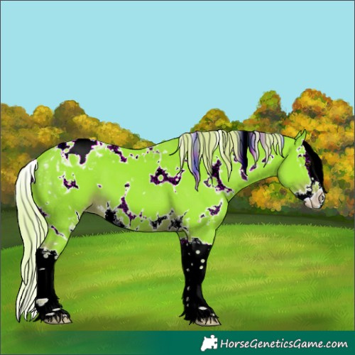 Horse Color:Watercolor White Spotted Liver Chestnut Splash Blanket 