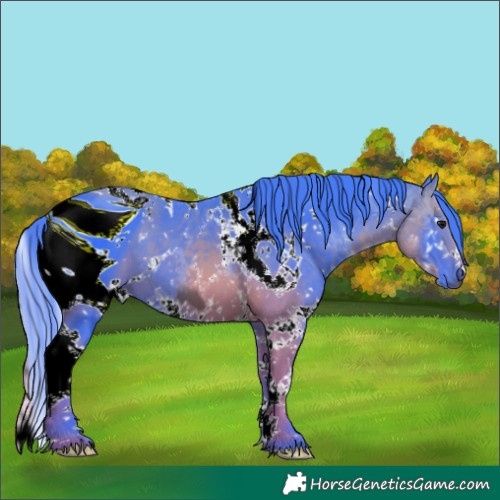 Horse Color:ERROR: UNKNOWN ANOMALY