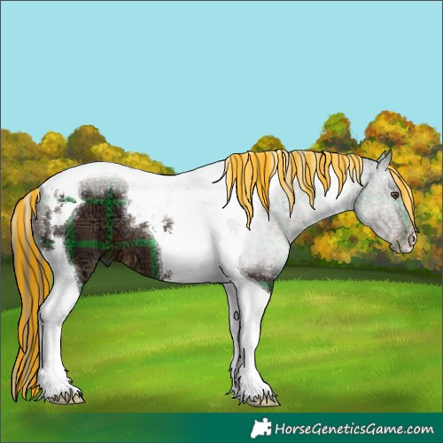 Horse Color:Painted Plaid  Liver Chestnut Ice Tobiano 
