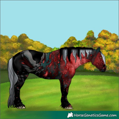 Horse Color:ERROR: UNKNOWN ANOMALY