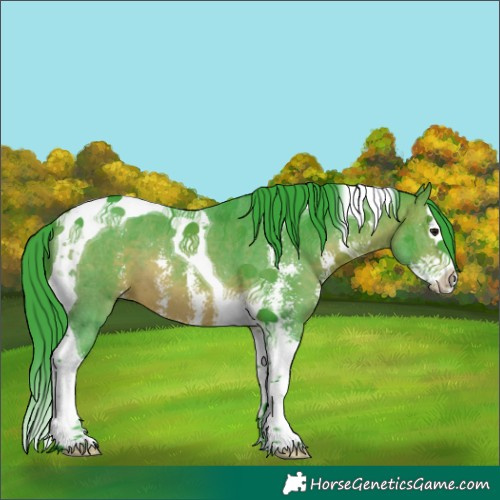 Horse Color:Watercolor Brown Sabino Splash Tobiano 