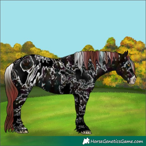 Horse Color:ERROR: UNKNOWN ANOMALY