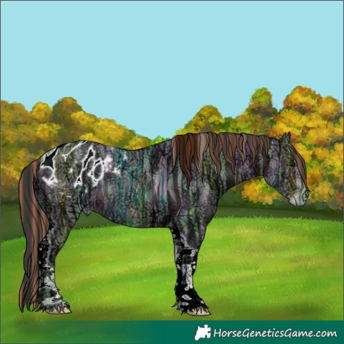 Horse Color:Painted Bay Ice Tobiano Appaloosa