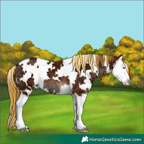 Horse Color:Painted White Spotted Chestnut Ice Splash 